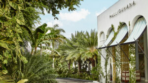Resort